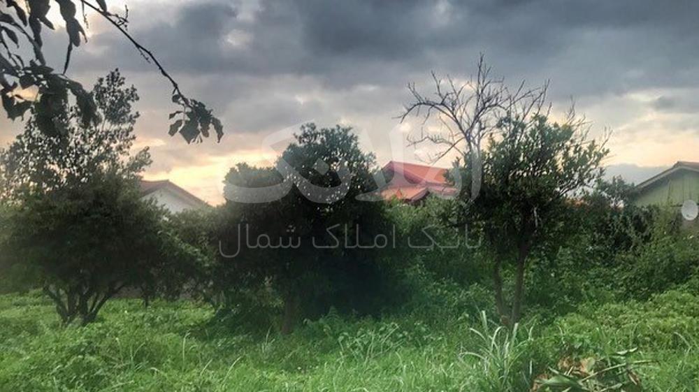 ویلا چمستان خرید ویلا باغ جنگلی ۵۰۰ متری